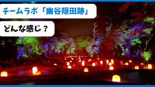 【茨城旅行③】夜の屋外チームラボ「幽谷隠田跡」に行ってきた!