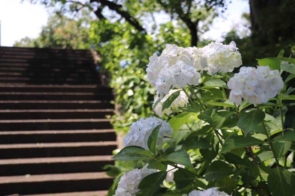 fuchu-3