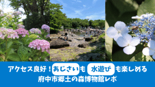 【府中市郷土の森博物館】あじさいまつりを満喫！【ぐるっとパスでお得に】