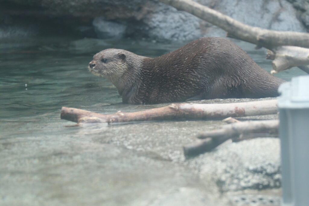 tama_zoo-5