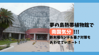 【体験レポ】夢の島熱帯植物館に行ってきた|新木場ランチ&夏の暑さ対策も紹介!