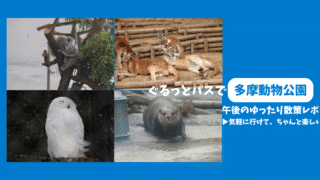 【多摩動物公園】ぐるっとパスで入園!午後のゆったり散策レポート