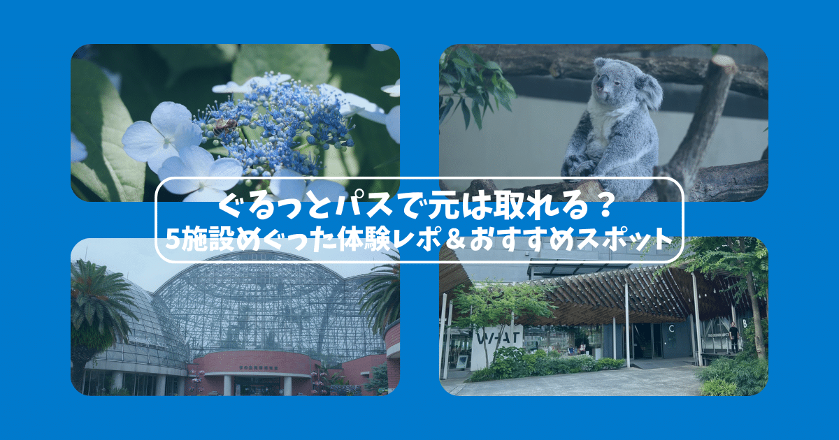 【体験レポ】ぐるっとパスで5施設めぐって元が取れた話|おすすめスポットまとめ