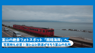 【富山旅行⑤】絶景と鉄道写真の聖地「雨晴海岸」と道の駅 雨晴