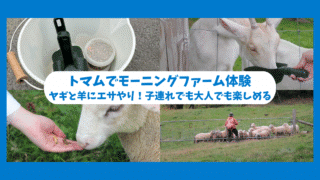 【トマム旅行③】モーニングファームでヤギと羊に朝ごはんをあげる体験記