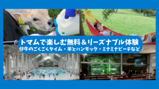【トマム旅行⑥】仔牛のごくごくタイム・ミナミナビーチ・羊とお昼寝ハンモックなどその他アクティビティ体験記